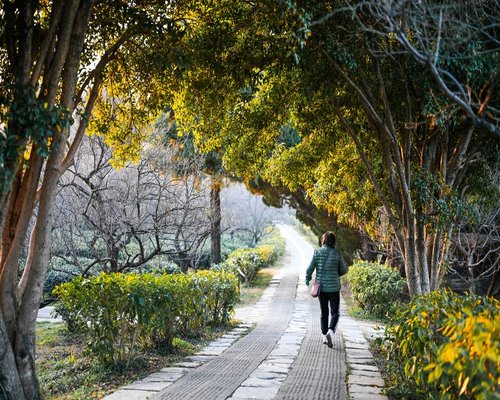 Person relaxing in a park walking path