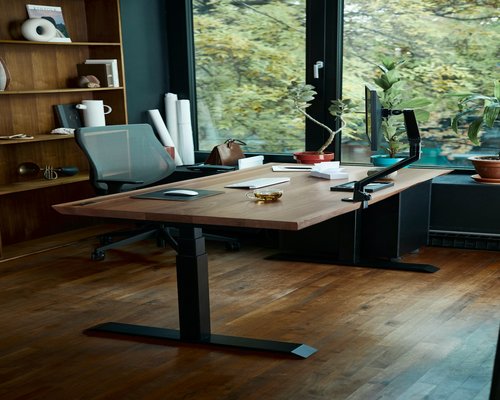Ergonomic home office setup